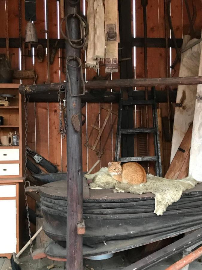 Chalupa Helena Na Poraci Εξωτερικό φωτογραφία